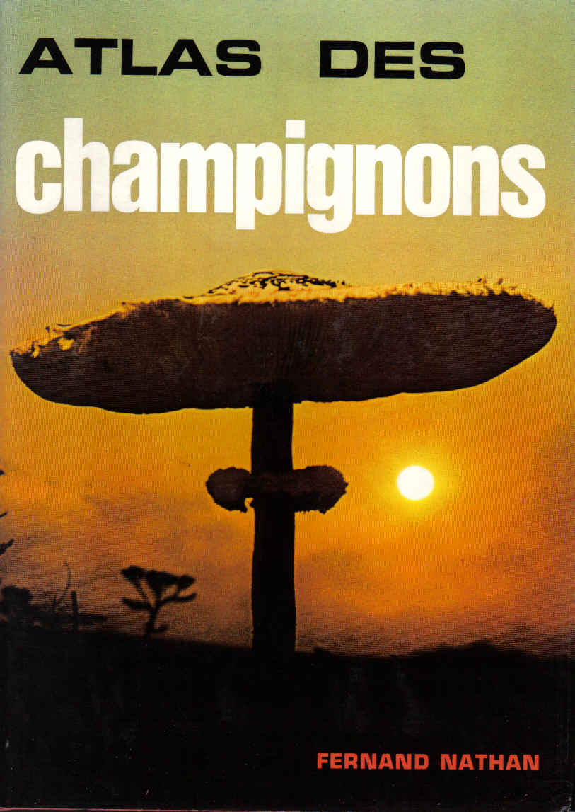 champignons