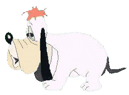 logo_chien
